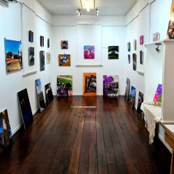 Inside-Sarina-Gallery